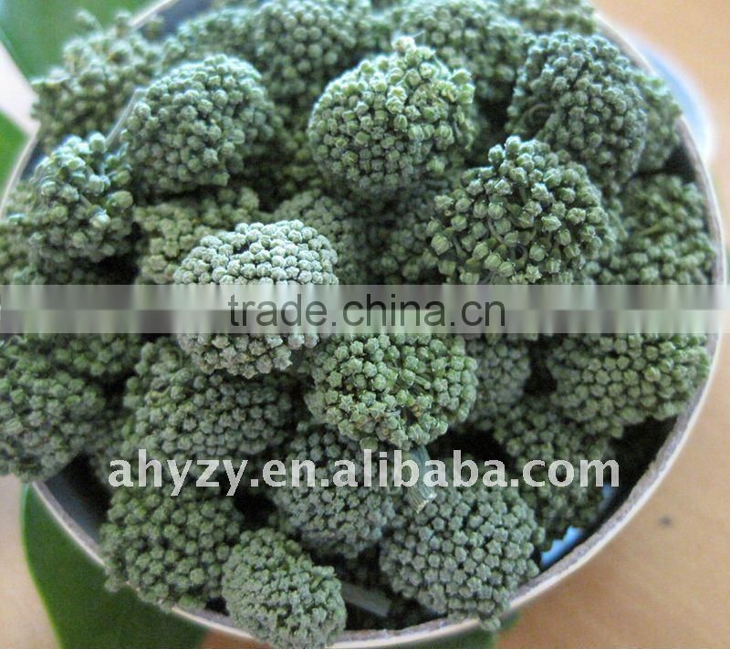 Radix Flos Notoginseng Flower