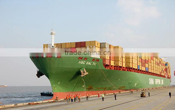 Bulk Dry Bitter Apricot Kernel