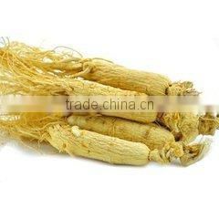 Panax Ginseng