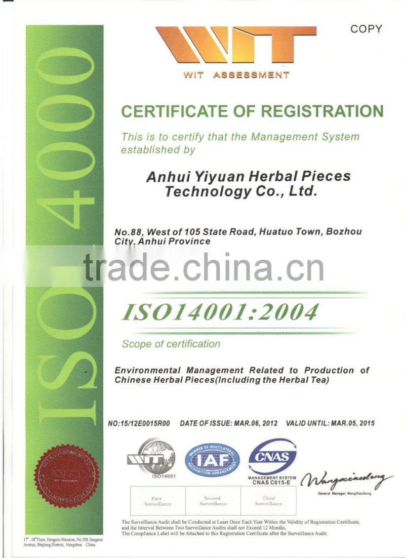 Radix Flos Notoginseng Flower