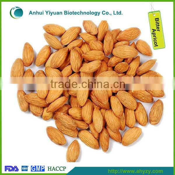 Bulk Dry Bitter Apricot Kernel
