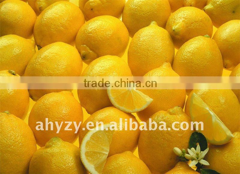 Dried Lemon Fruit Piece