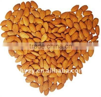 High Nutritive Value Bitter Apricot Almond