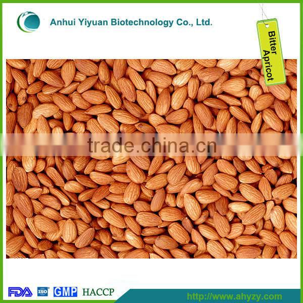 Bulk Dry Bitter Apricot Kernel