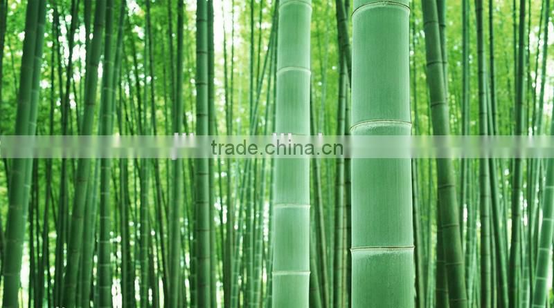 bamboo back scratcher for massage basic massage personal use