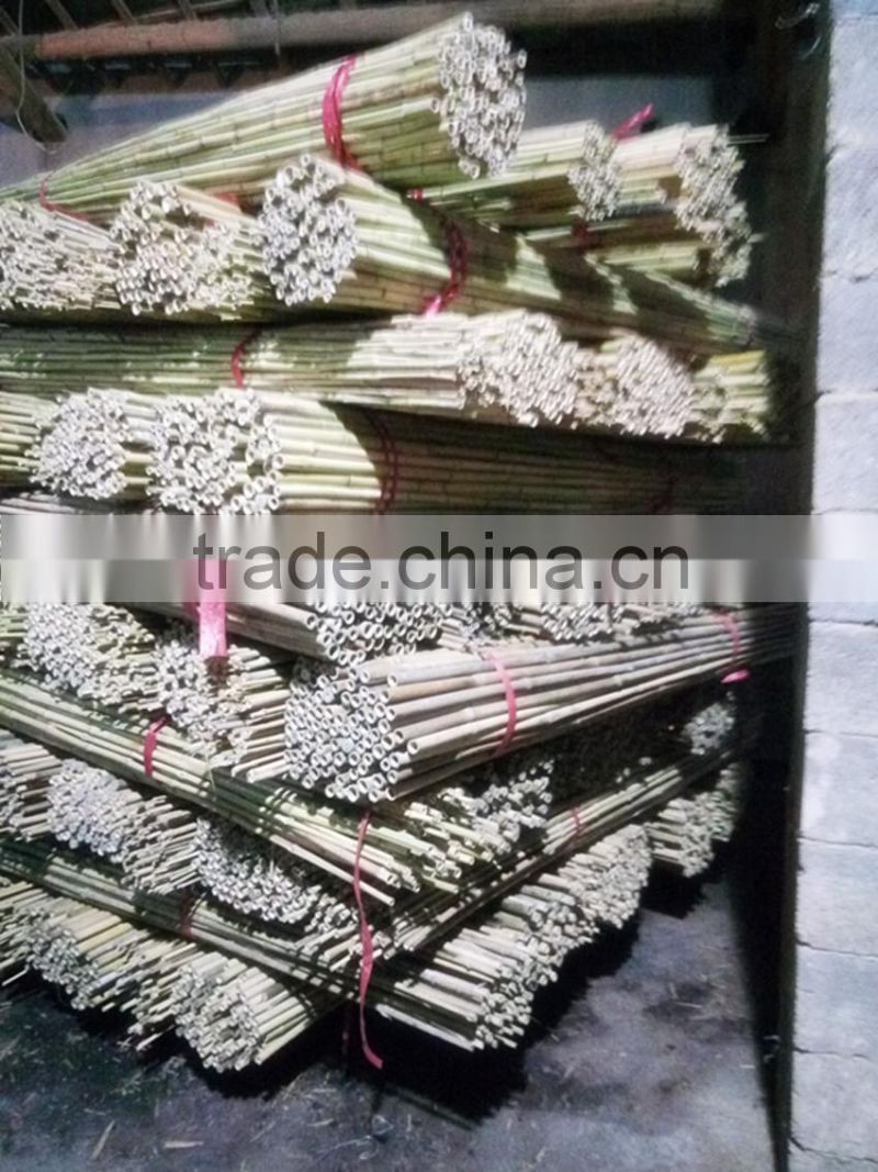 wy-z045bamboo cane for supporting