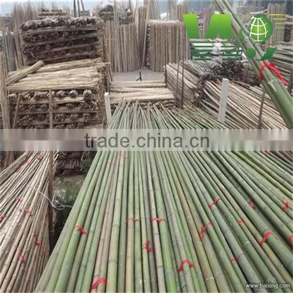 cheap decoration artificial bamboo poles