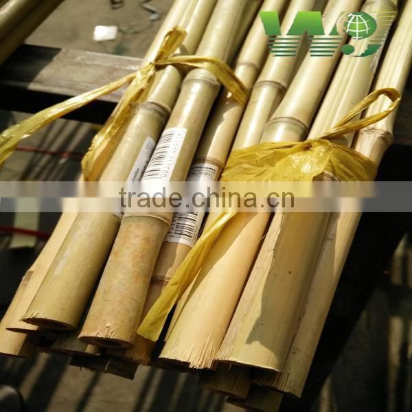 plastic natural yellow bamboo pole for sale