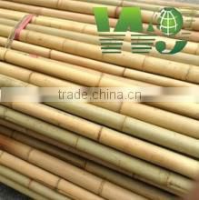 wy-z053 bamboo pole for orchard