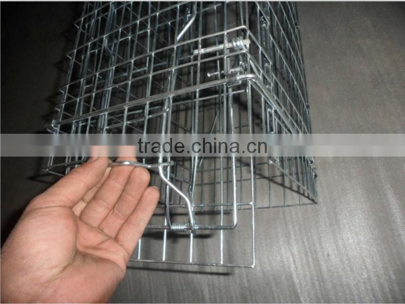 2015 the most popular Live Animal Traps (high quality wit big supply)