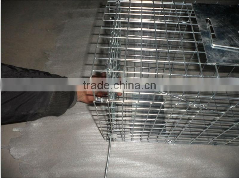 2015 the most popular Live Animal Traps (high quality wit big supply)