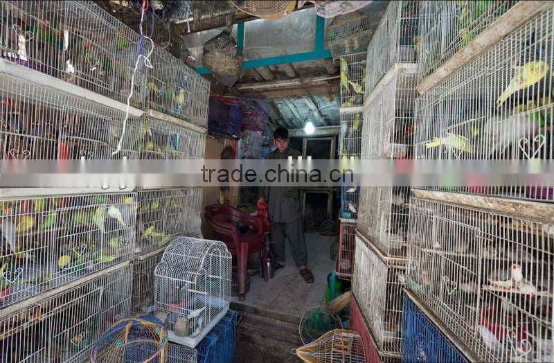 Bird Cage Wire Panels