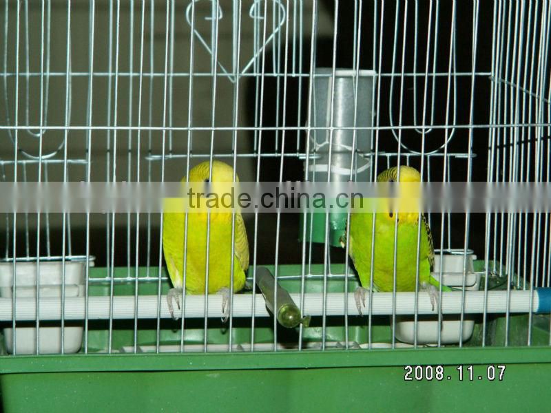 white metal bird cage