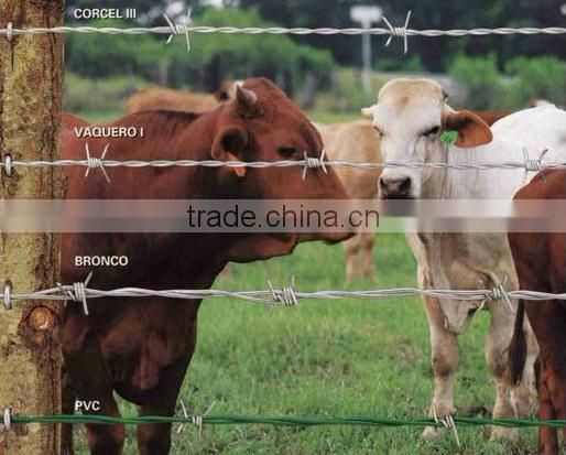 2016 Barbed wire / Razor barbed wire / cheap Barbed wire roll price fence