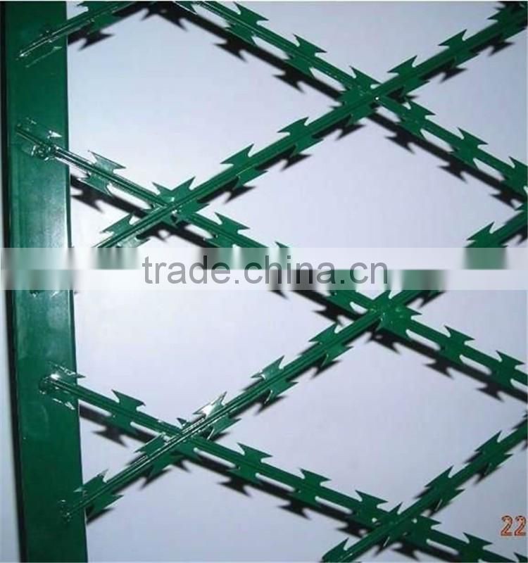 Wholesale Hot Dipped Razor Barned Wire