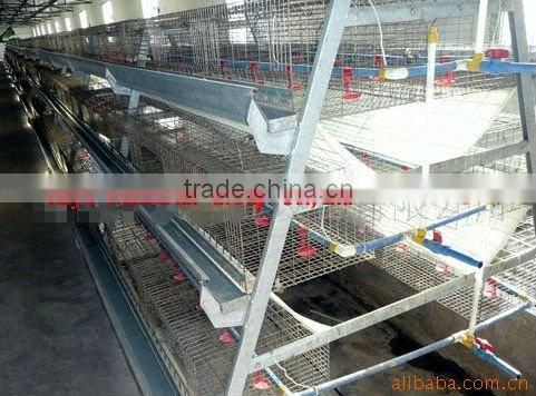 TAIYU-11 3 tiers A type chick cage