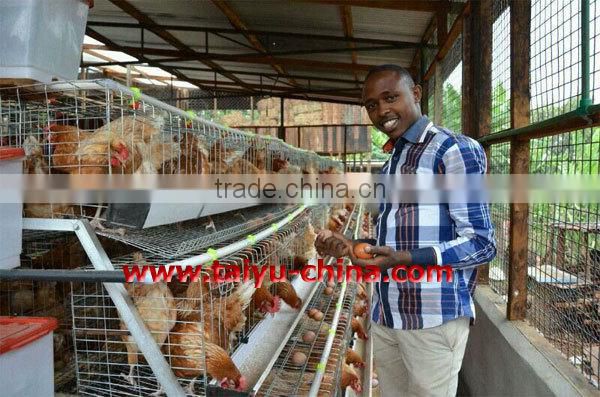TAIYU baby chick layer hen cage from one day old to adult