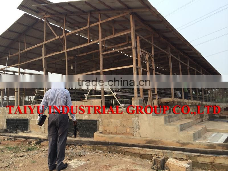 TAIYU Poultry Breeder Eggs From One Day Old To Adult