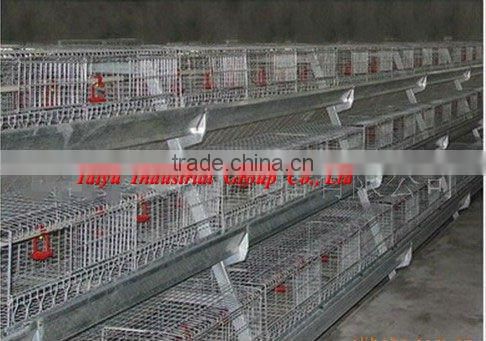 TAIYU-11 3 tiers A type chick cage