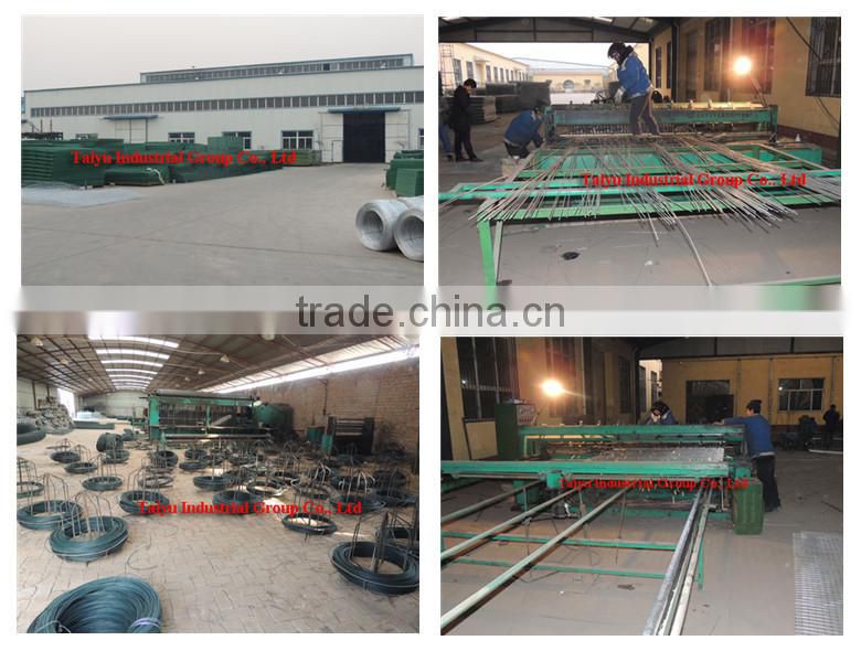 TAIYU Factory Price Cage Chicks 120 for Sale