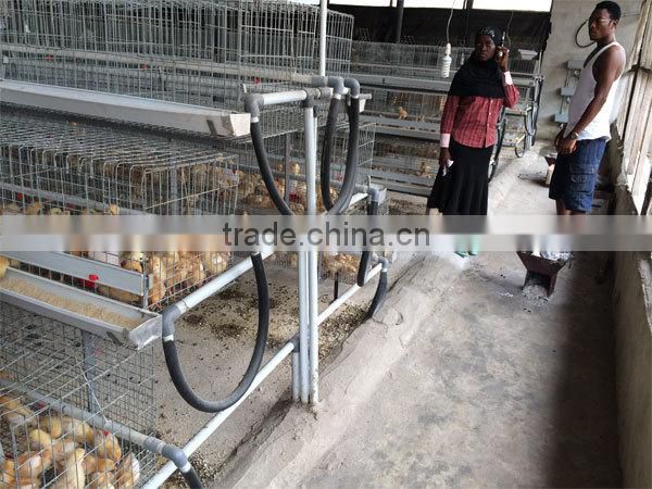 TAIYU direct factory egg chick cage with comfortable environment