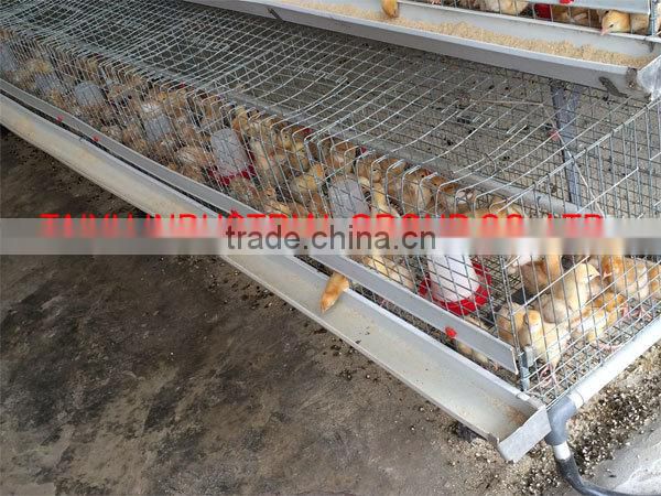 TAIYU direct factory egg chick cage with comfortable environment
