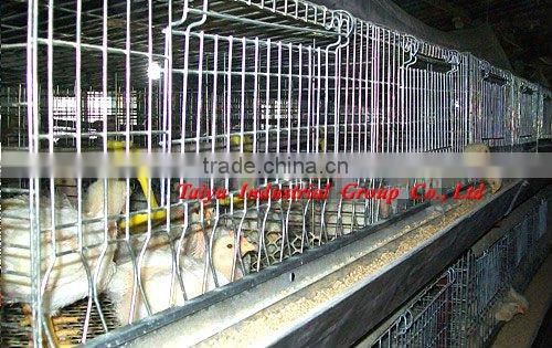 TAIYU-17 4 tiers H type chick cage