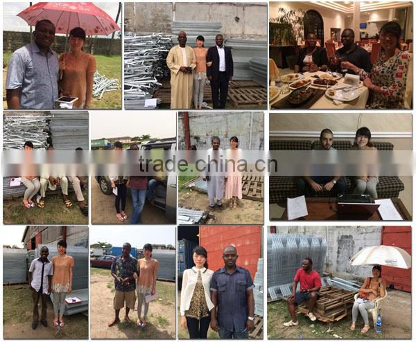 TAIYU A and H Type Chick Poultry Farm Price