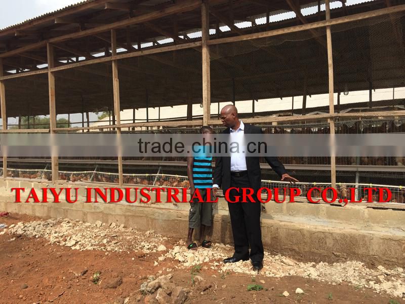 TAIYU Poultry Breeder Eggs From One Day Old To Adult