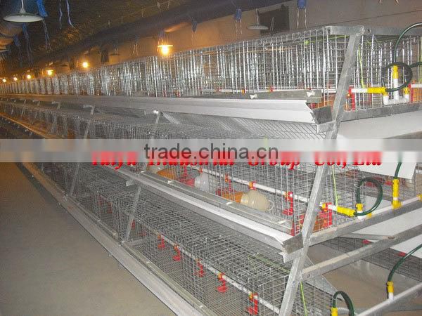 TAIYU direct factory egg chick cage with comfortable environment