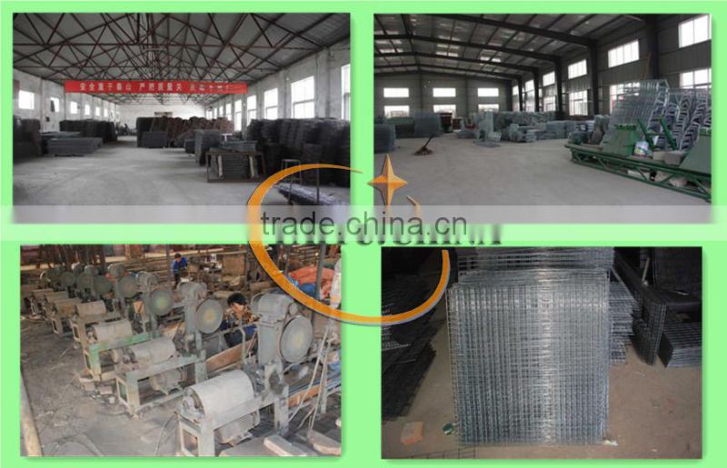 TAIYU Factory Price Cage Chicks 120 for Sale