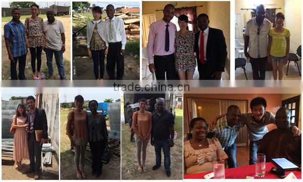 TAIYU A and H Type Chick Poultry Farm Price