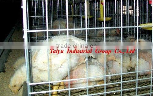 TAIYU-17 4 tiers H type chick cage