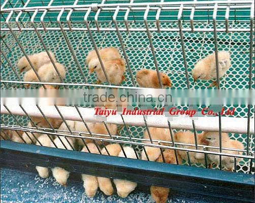 TAIYU-12 4 tiers H type chick cage