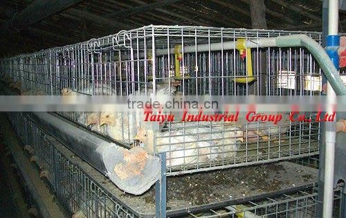 TAIYU-17 4 tiers H type chick cage
