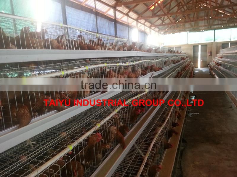 TAIYU baby chick layer hen cage from one day old to adult