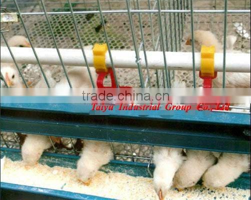 TAIYU-11 3 tiers A type chick cage