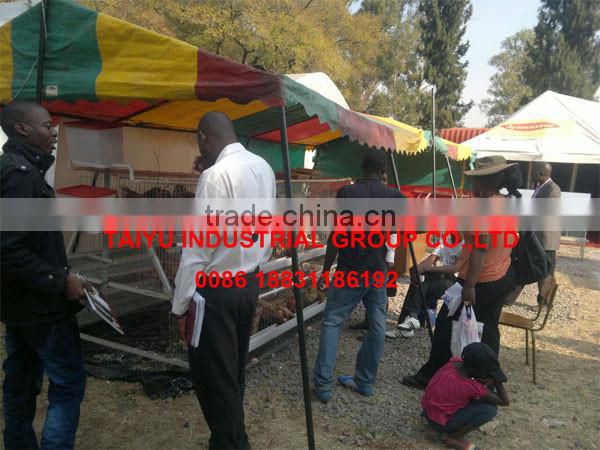 TAIYU baby chick layer hen cage from one day old to adult