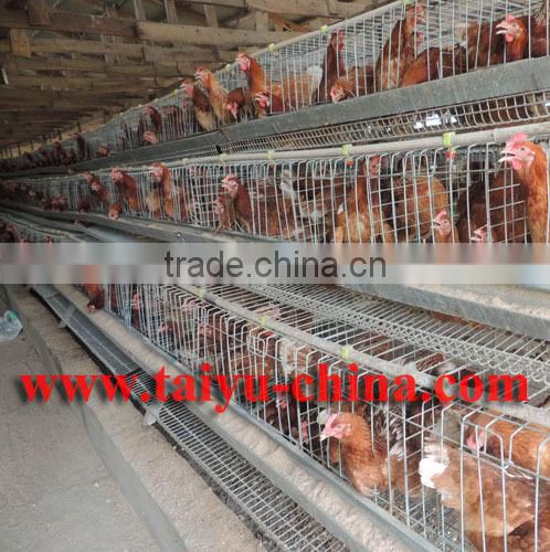 TAIYU breeding chicken cage for poultry farm from one day old to adult