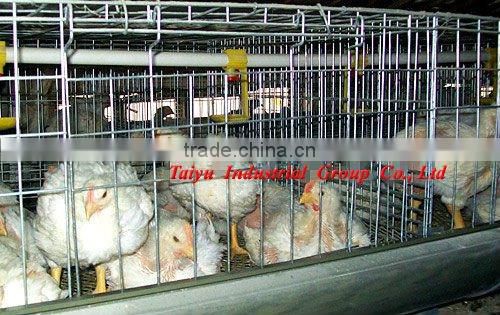 TAIYU-17 4 tiers H type chick cage