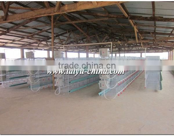 TAIYU A and H Type Chick Poultry Farm Price