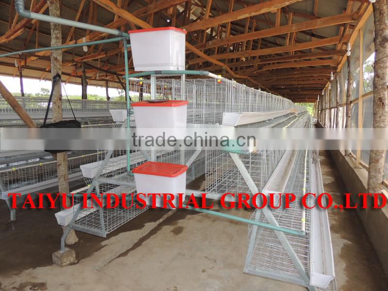 TAIYU baby chick layer hen cage from one day old to adult
