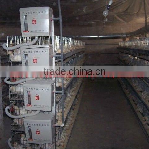 TAIYU-12 4 tiers H type chick cage