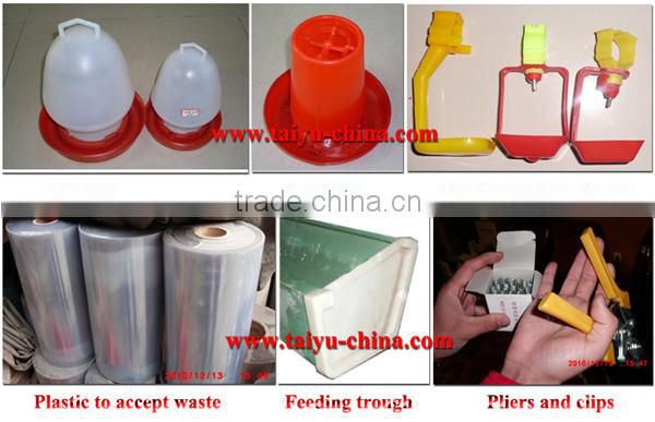 TAIYU Poultry Breeder Eggs From One Day Old To Adult