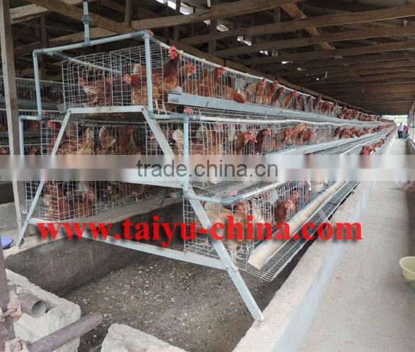 TAIYU baby chick layer hen cage from one day old to adult