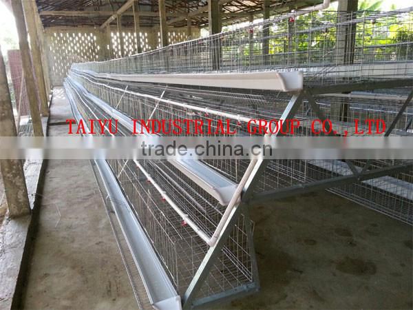 TAIYU baby chick layer hen cage from one day old to adult