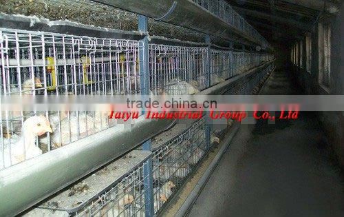 TAIYU-12 4 tiers H type chick cage