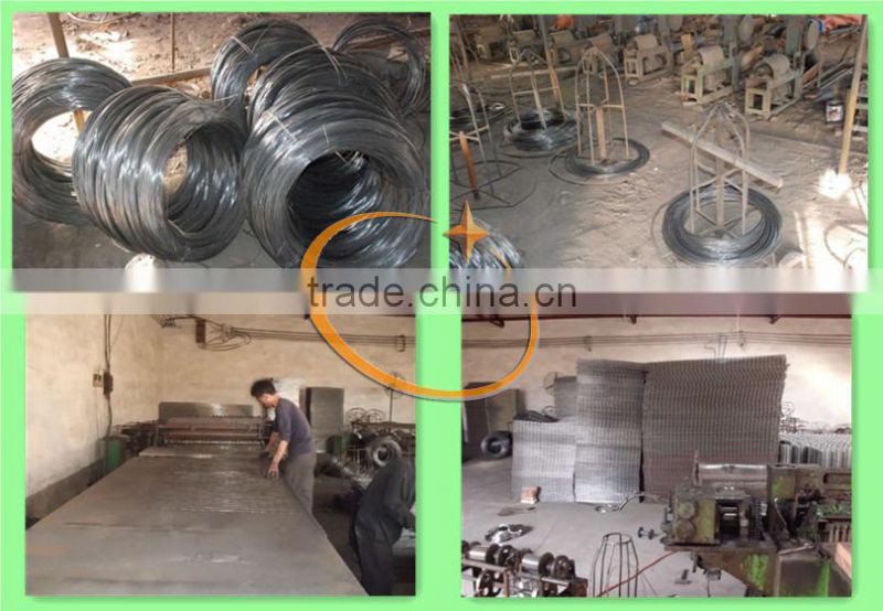 TAIYU Factory Price Cage Chicks 120 for Sale