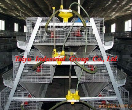 TAIYU-11 3 tiers A type chick cage