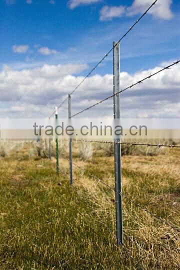 Military Galvanized Barbed Wire Mesh